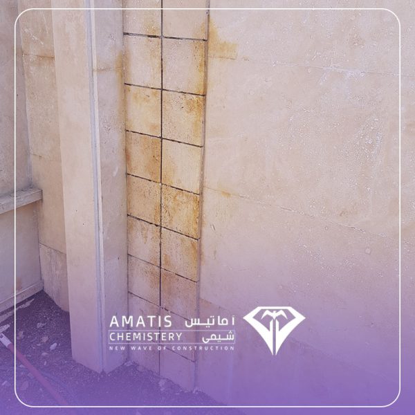 استون بیلیچ